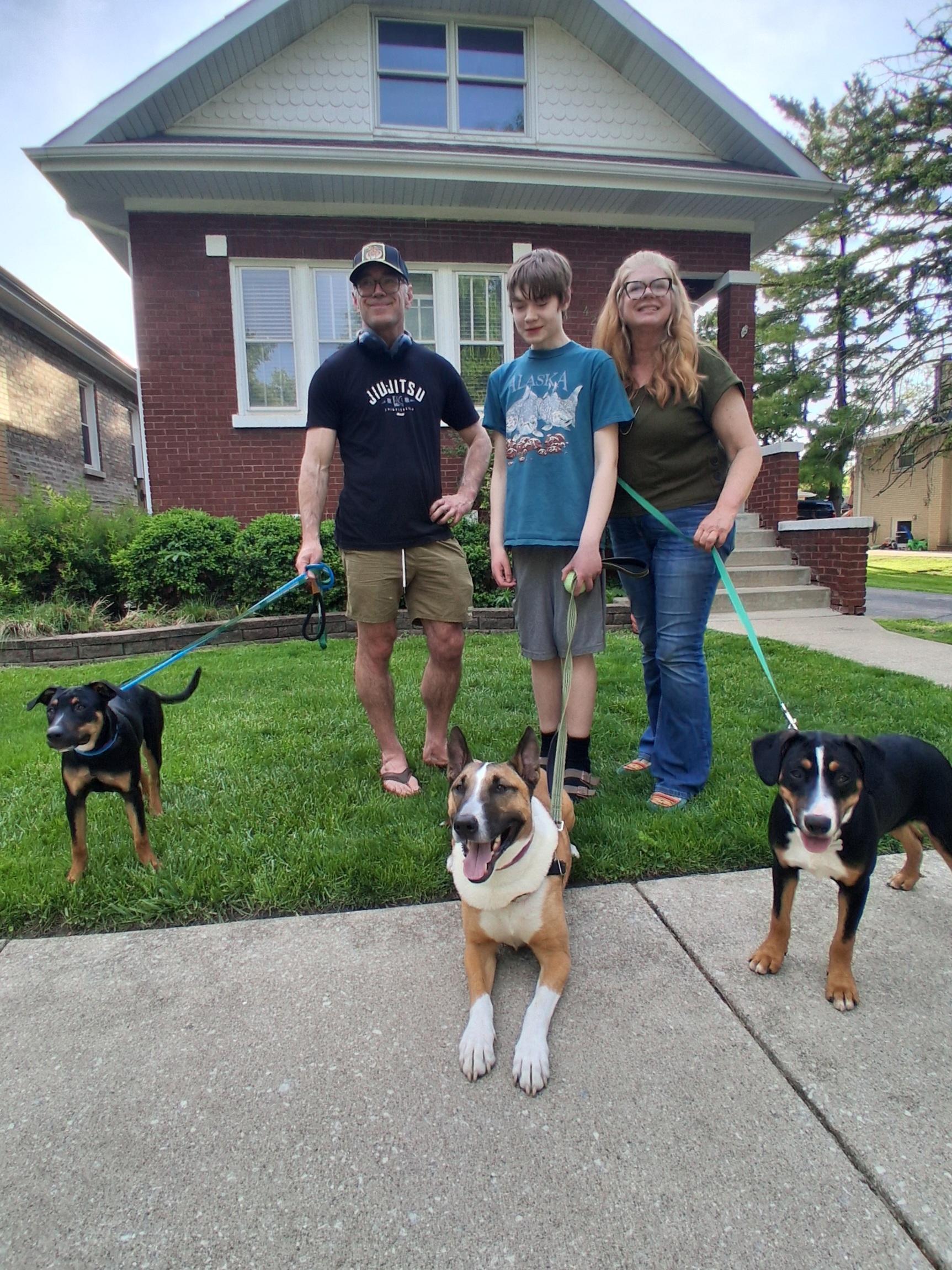 Claire, an adopted mixed breed in Elmhurst, IL image 4/4