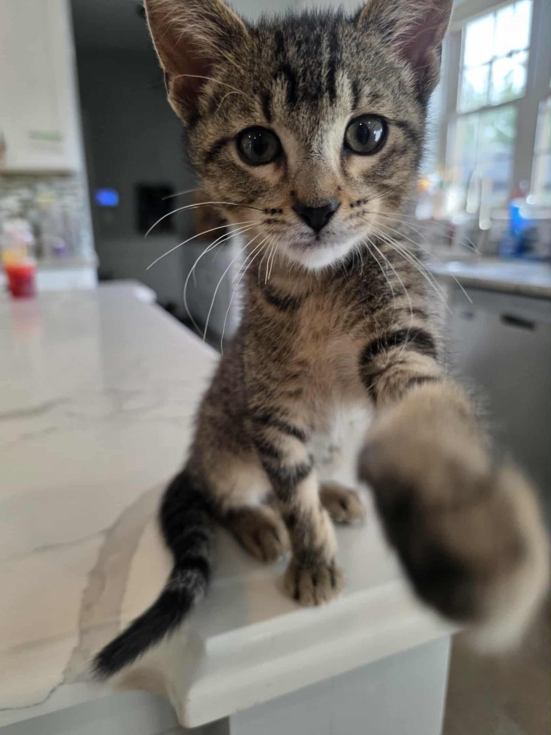 Jenny and Jasper Boy