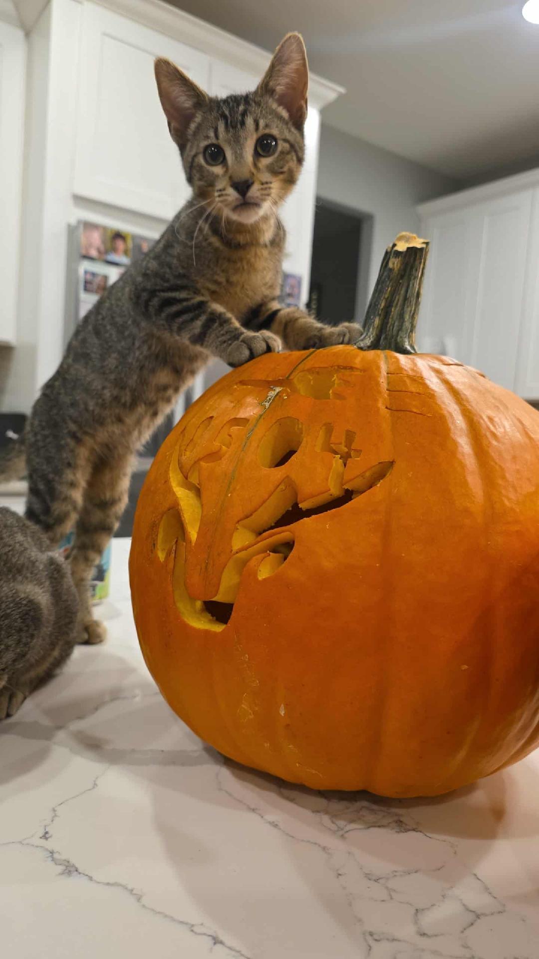 Jenny and Jasper Boy