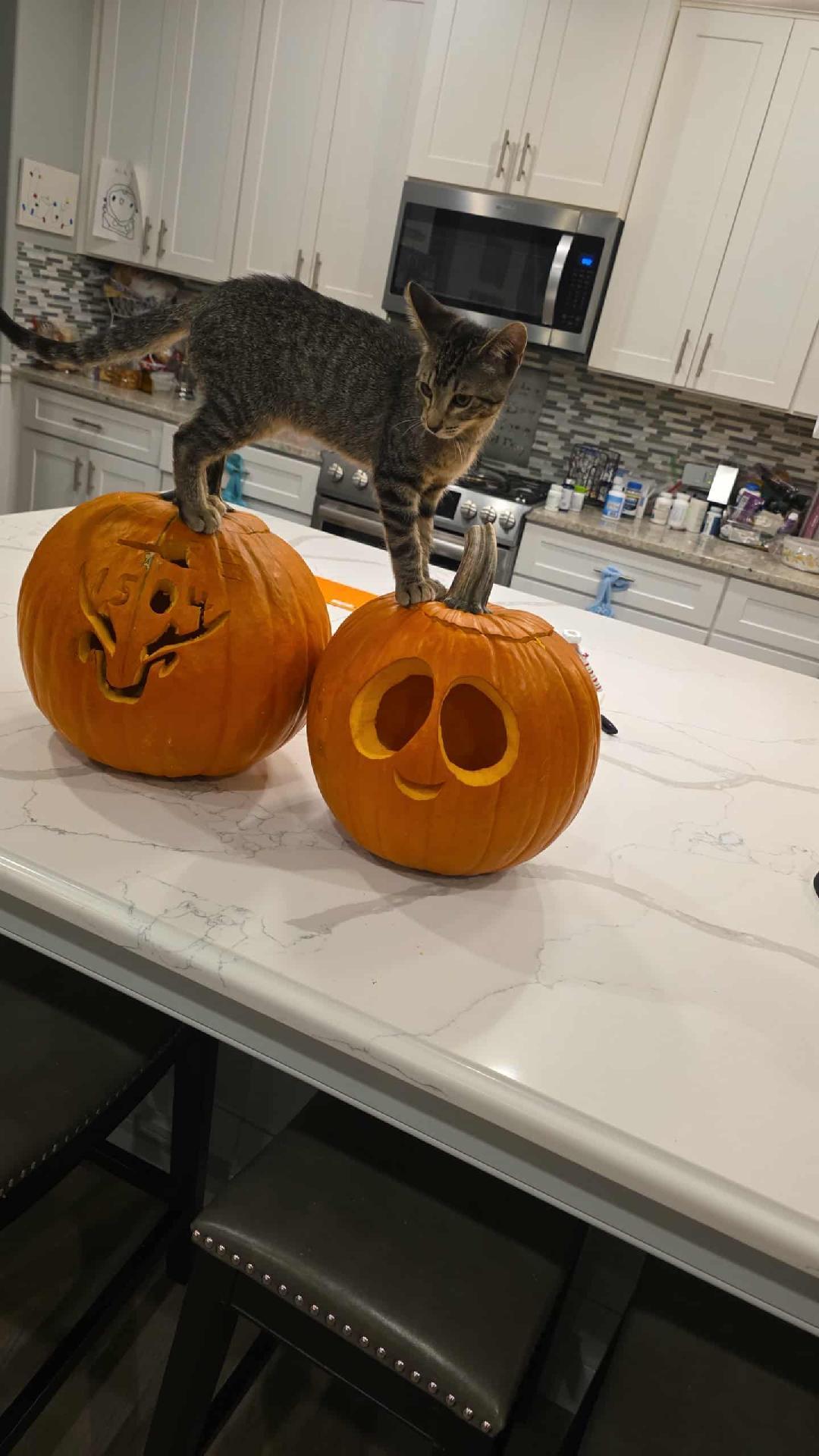 Jenny and Jasper Boy