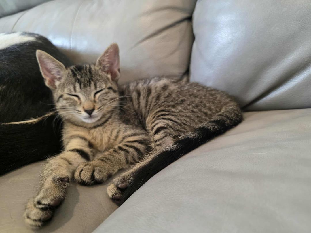 Jenny and Jasper Boy