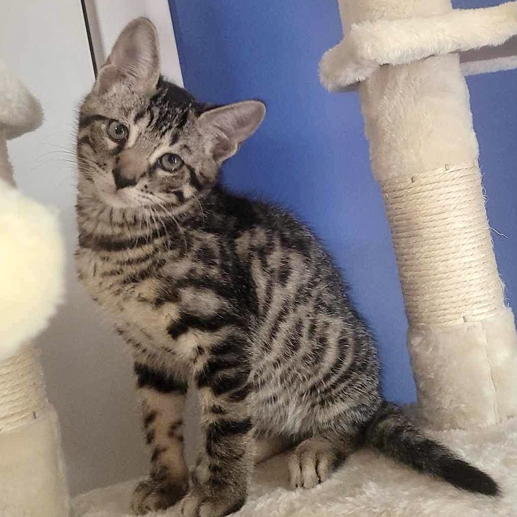 Fred — thumbnail 2