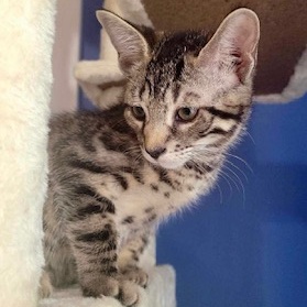 Fred — thumbnail 3