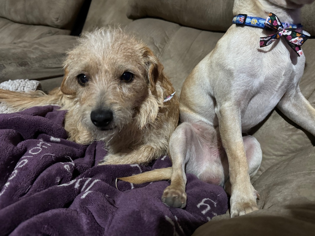 Bobby And Keiko Bonded thumbnail 2