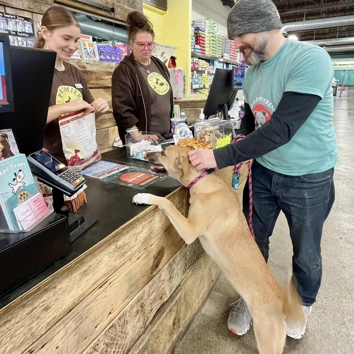 Dulce Needs A Forever thumbnail 4