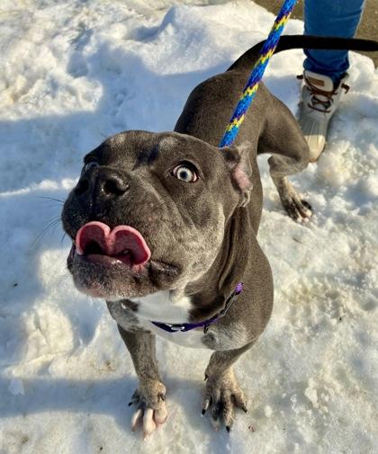 Sage — thumbnail 3