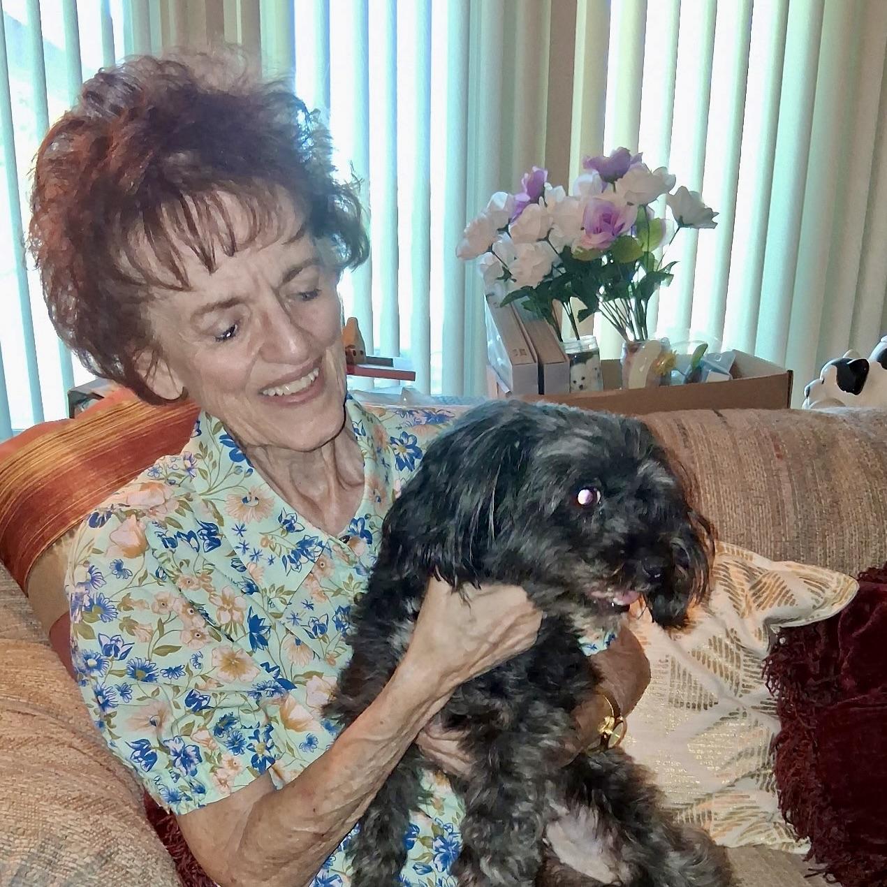 Enlarge Nikki #561, a Adopted mixed breed in Placentia, CA image 3/6