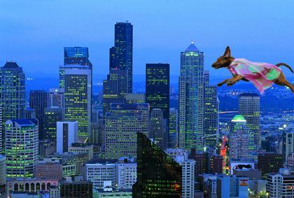 Charlie, a Adoptable mixed breed in Lewiston, ID image 2/6