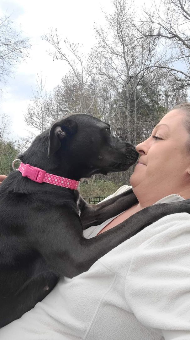 GLORIA, a Adoptable mixed breed in Broadalbin, NY image 2/12