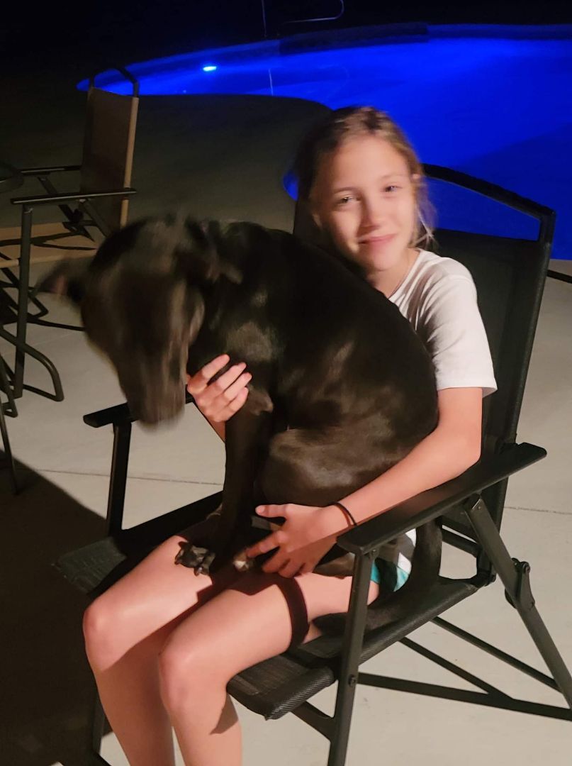 GLORIA, a Adoptable mixed breed in Broadalbin, NY image 5/12