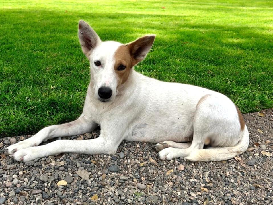 Ursa — thumbnail 4