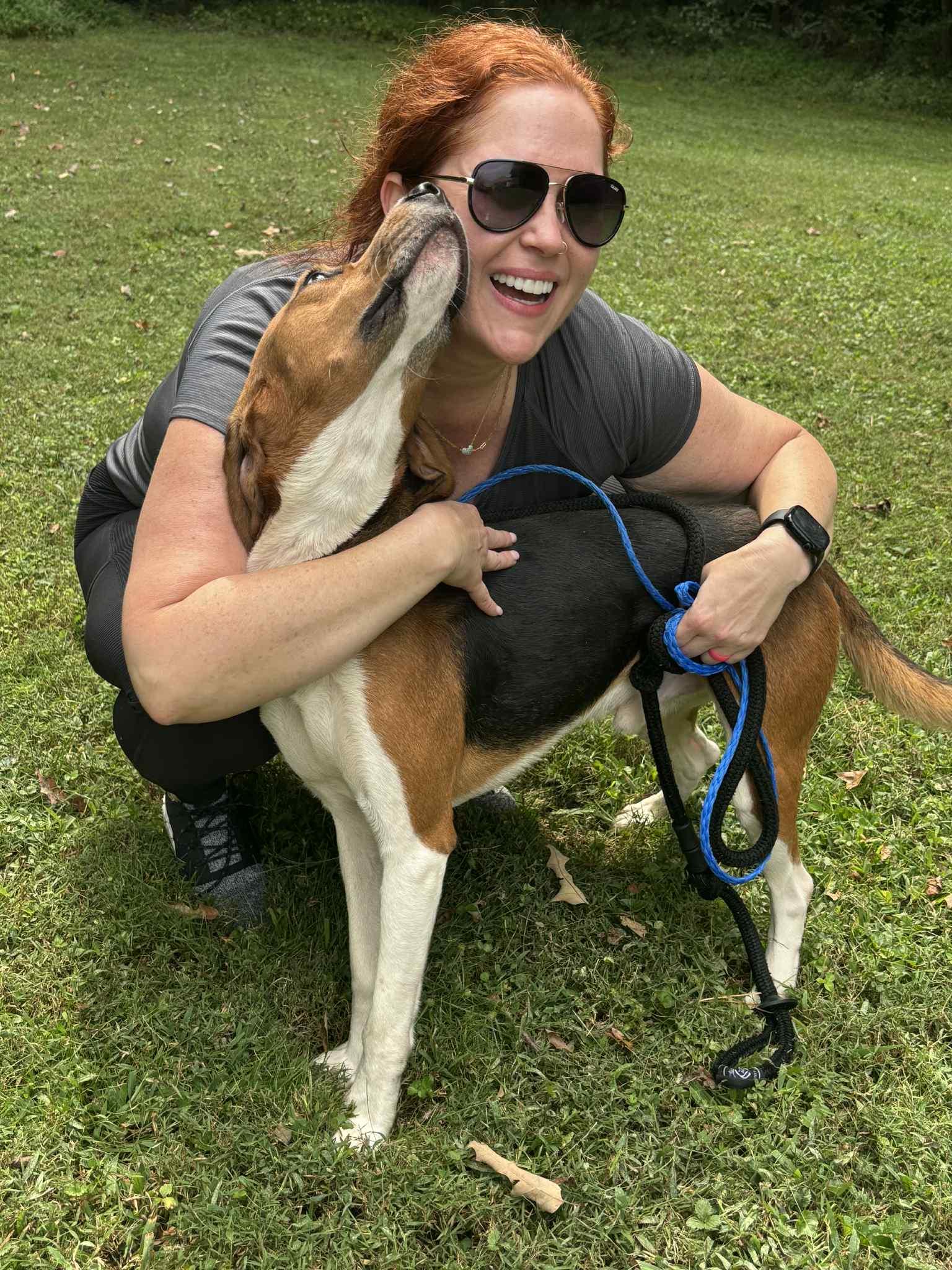 T.J., Adoptable, Adult Male American Foxhound.