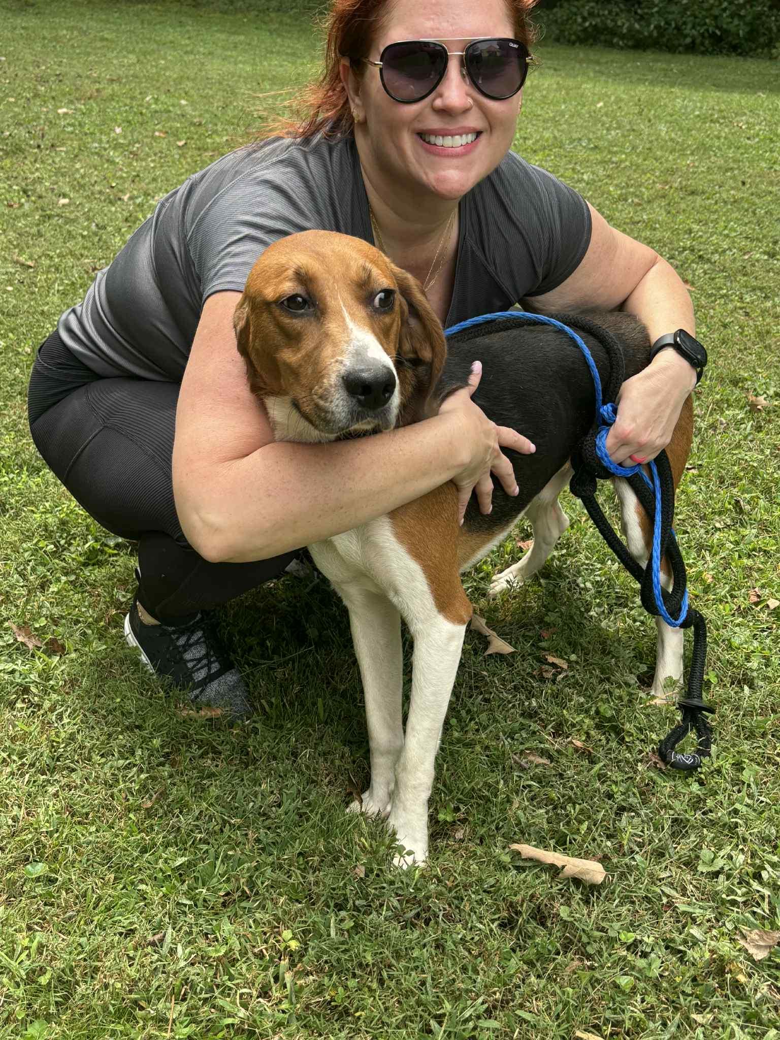 T.J., a Adoptable American Foxhound in Ashland, VA image 2/3