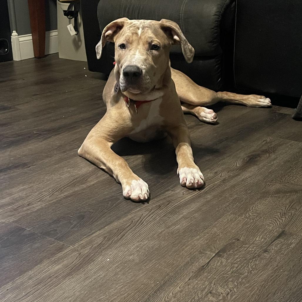 Sadie Ann thumbnail 2