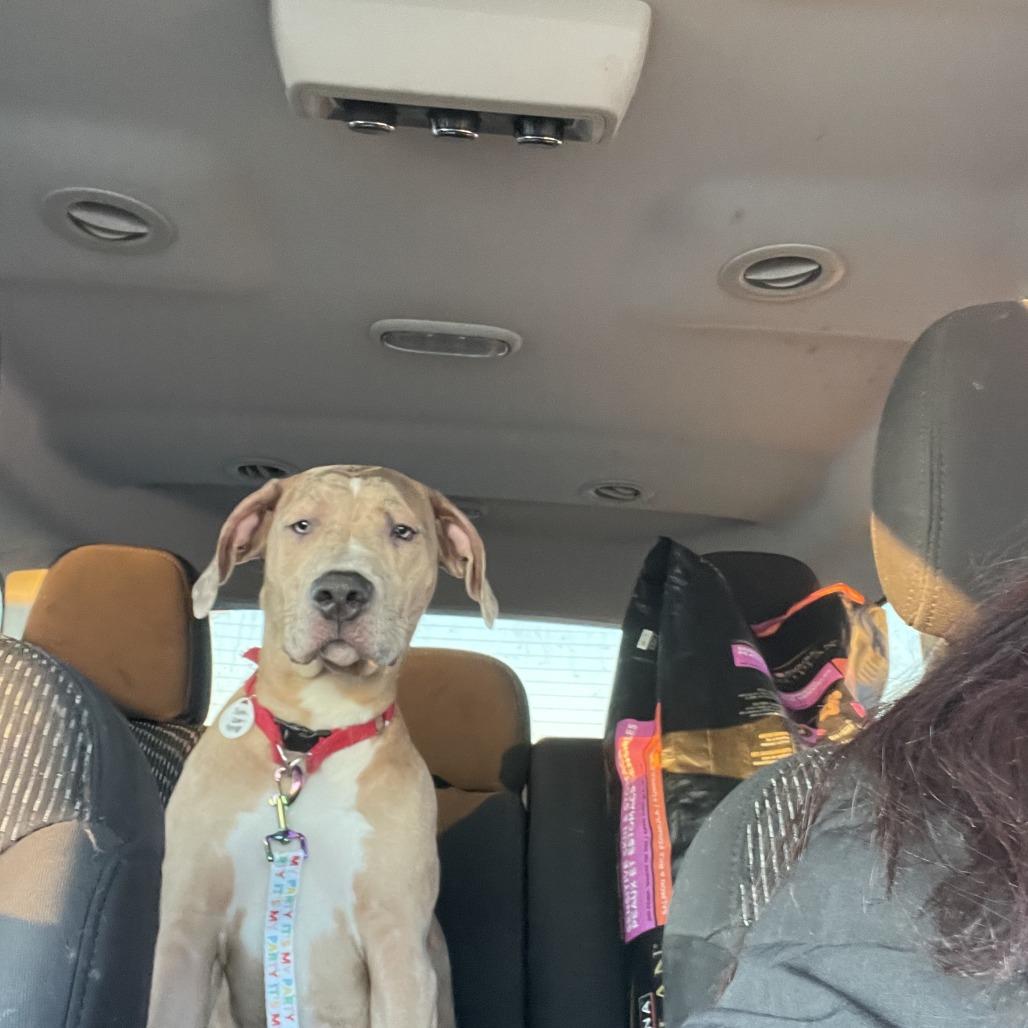 Sadie Ann thumbnail 3