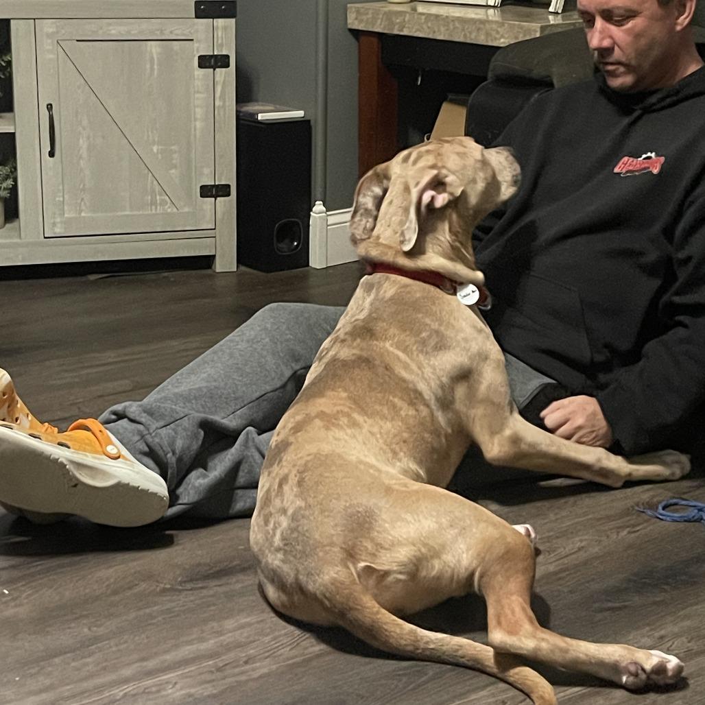 Sadie Ann thumbnail 5