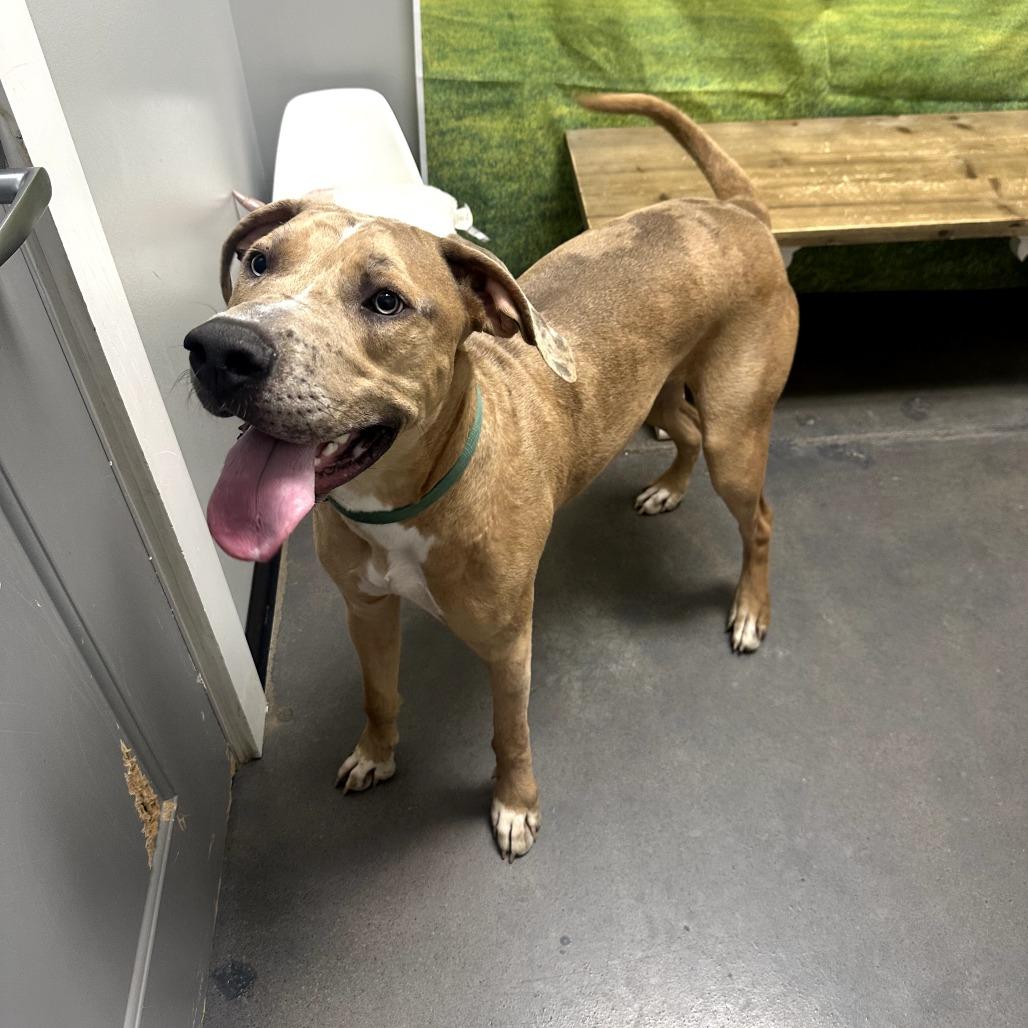 Sadie Ann thumbnail 6