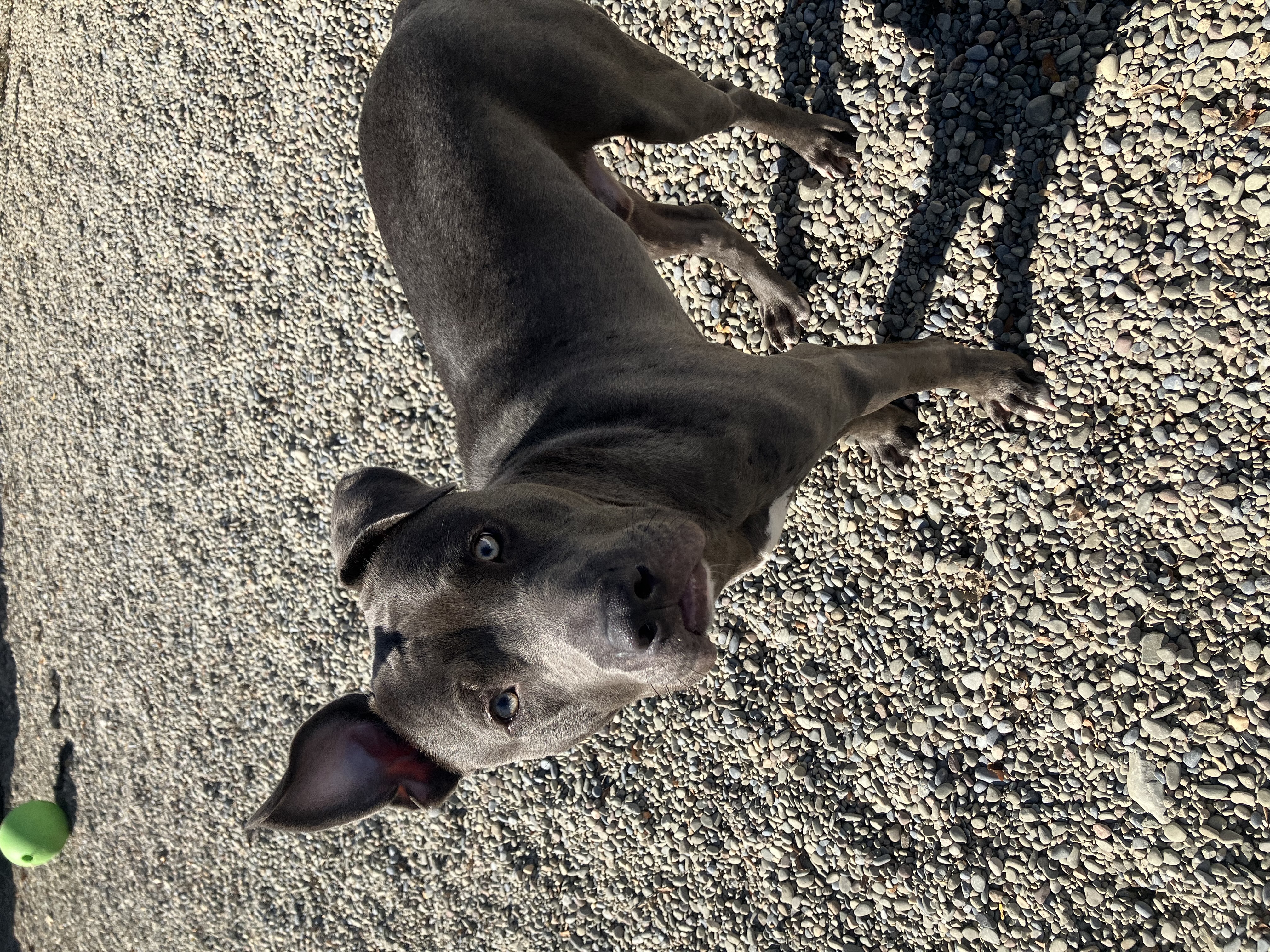 Dusty photo 3