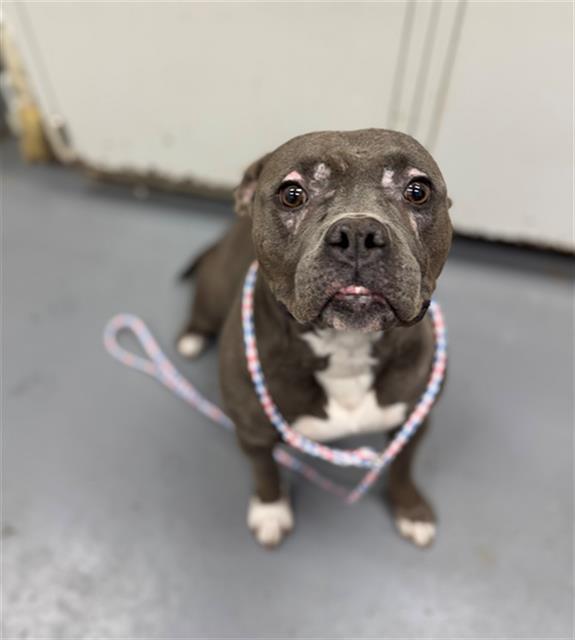 LEAFLET — thumbnail 2