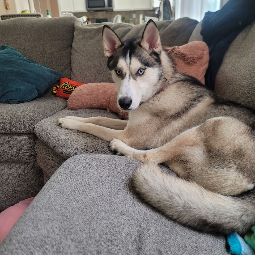 Kilo photo 5