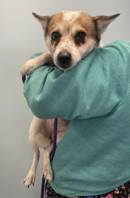 Delilah Jane thumbnail 2