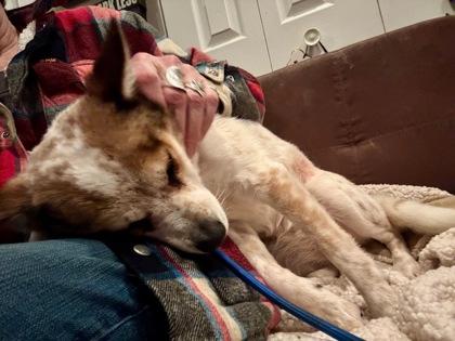 Delilah Jane thumbnail 3