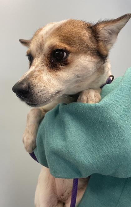 Delilah Jane thumbnail 6