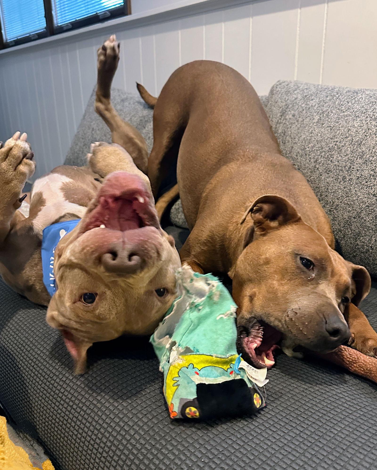 Cobain — thumbnail 3