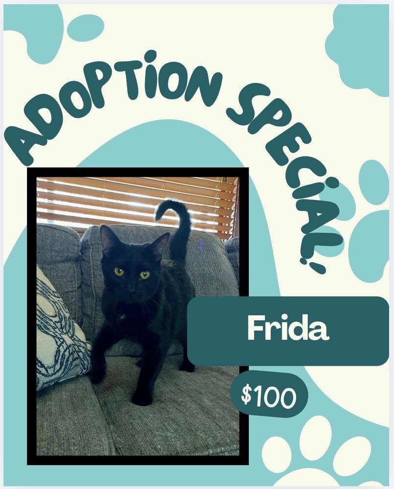 Enlarge Frida, a Adoptable mixed breed in Poplar Grove, IL image 2/3