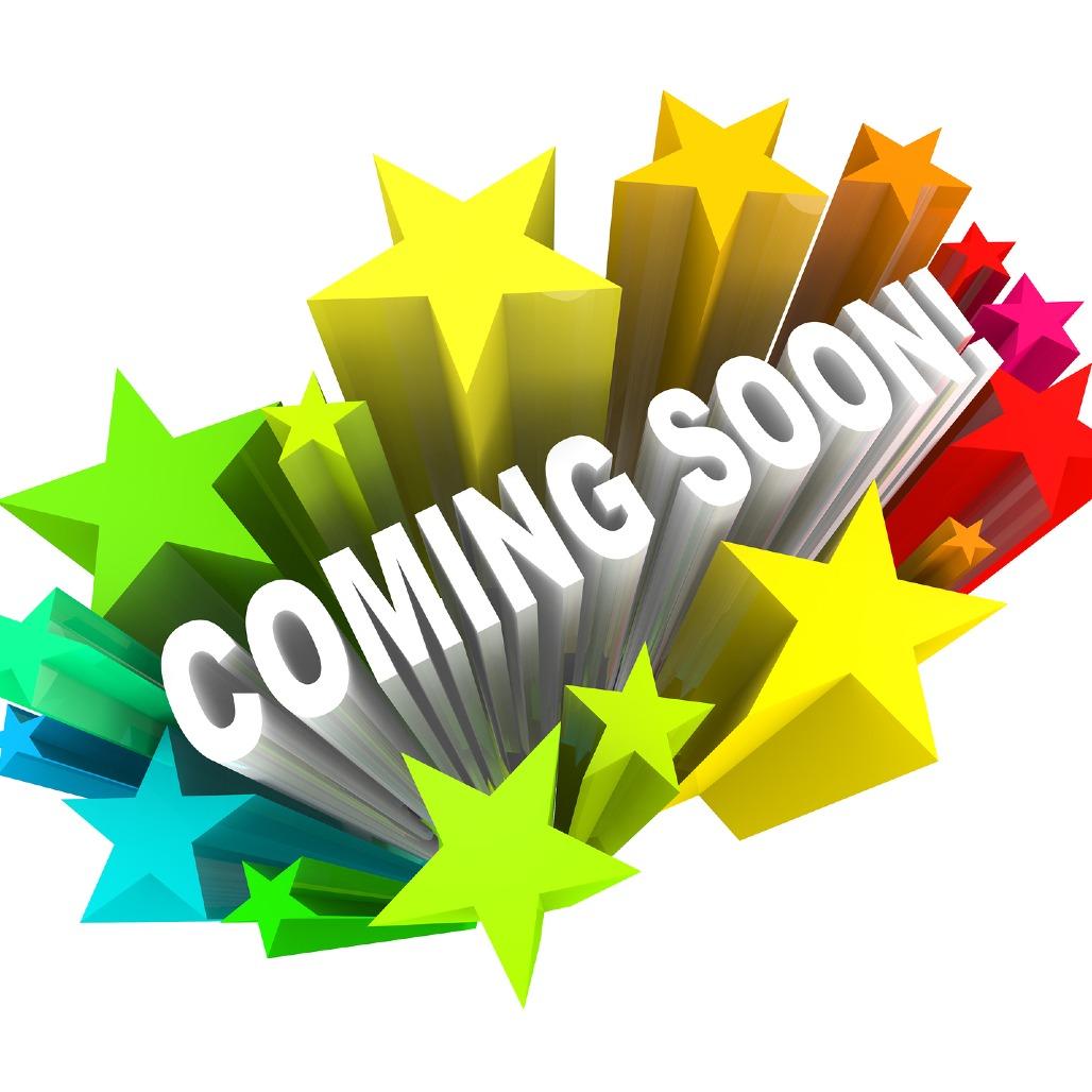 Enlarge CHERRY, a Adoptable mixed breed in QUINCY, FL image 1/2