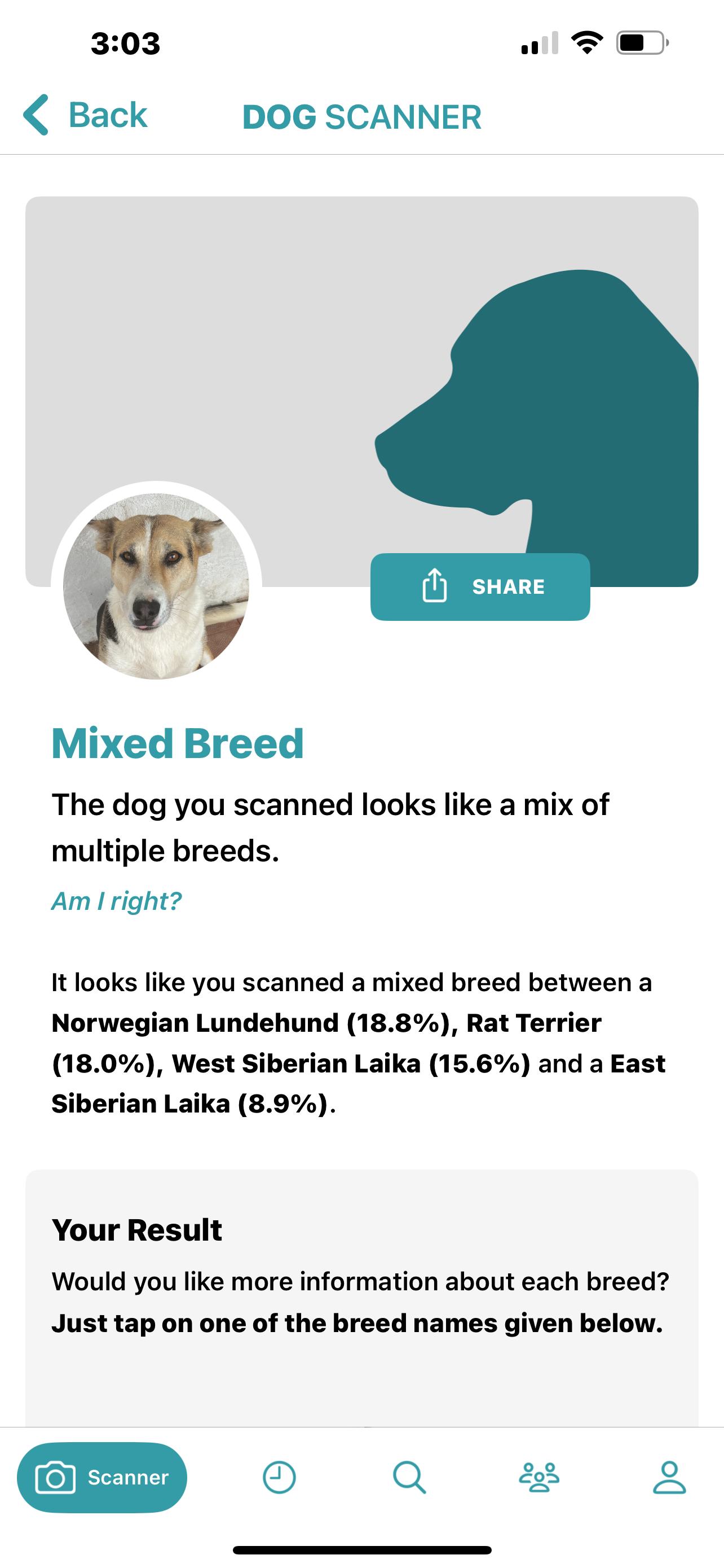 Enlarge Iris, a ADOPTABLE mixed breed in Encinitas, CA image 3/5