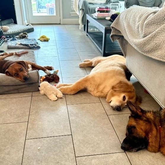 Charlie Brown Belly Rub King 5