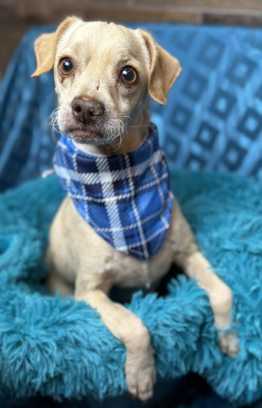 Tucker! Walks around with a ball in his mouth, loves people with all his heart!