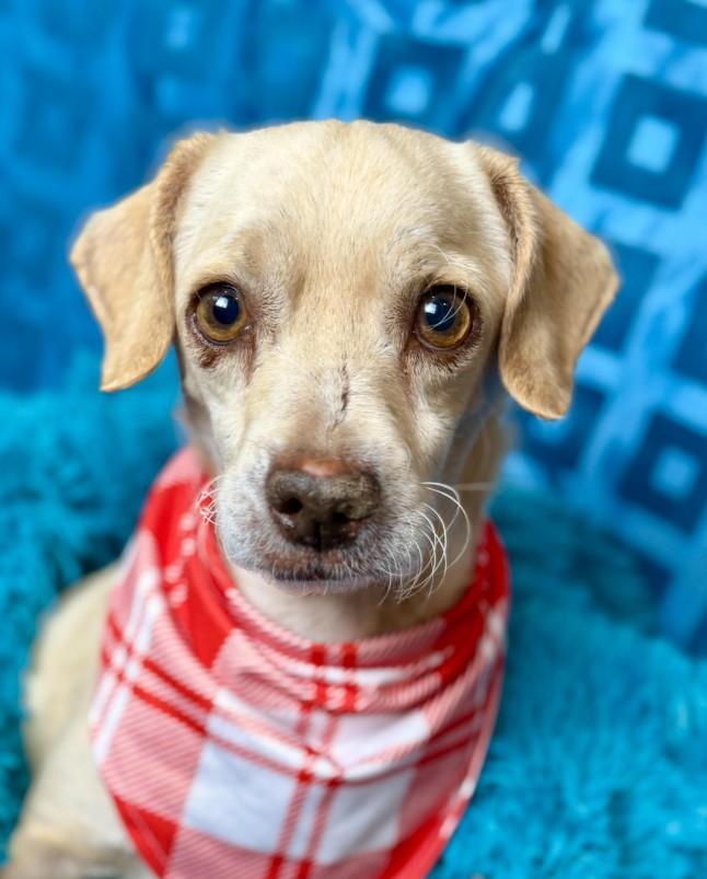 Tucker! Walks around with a ball in his mouth, loves people with all his heart!