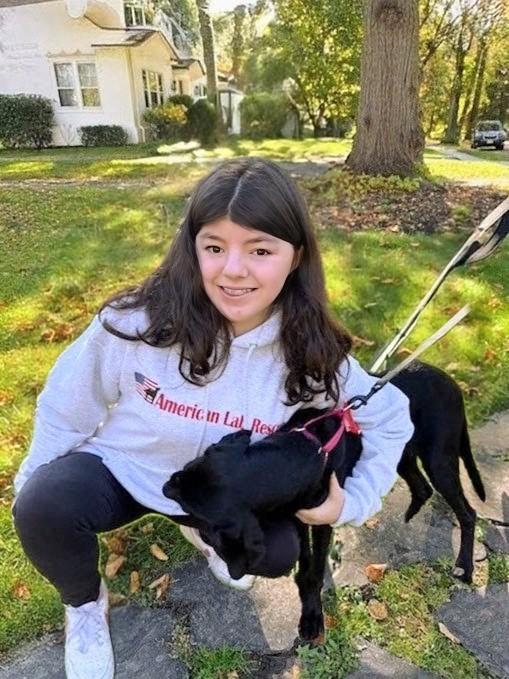 Maya - Fostered Needed in Northeast, a Adoptable Black Labrador Retriever in Willington, CT image 4/5