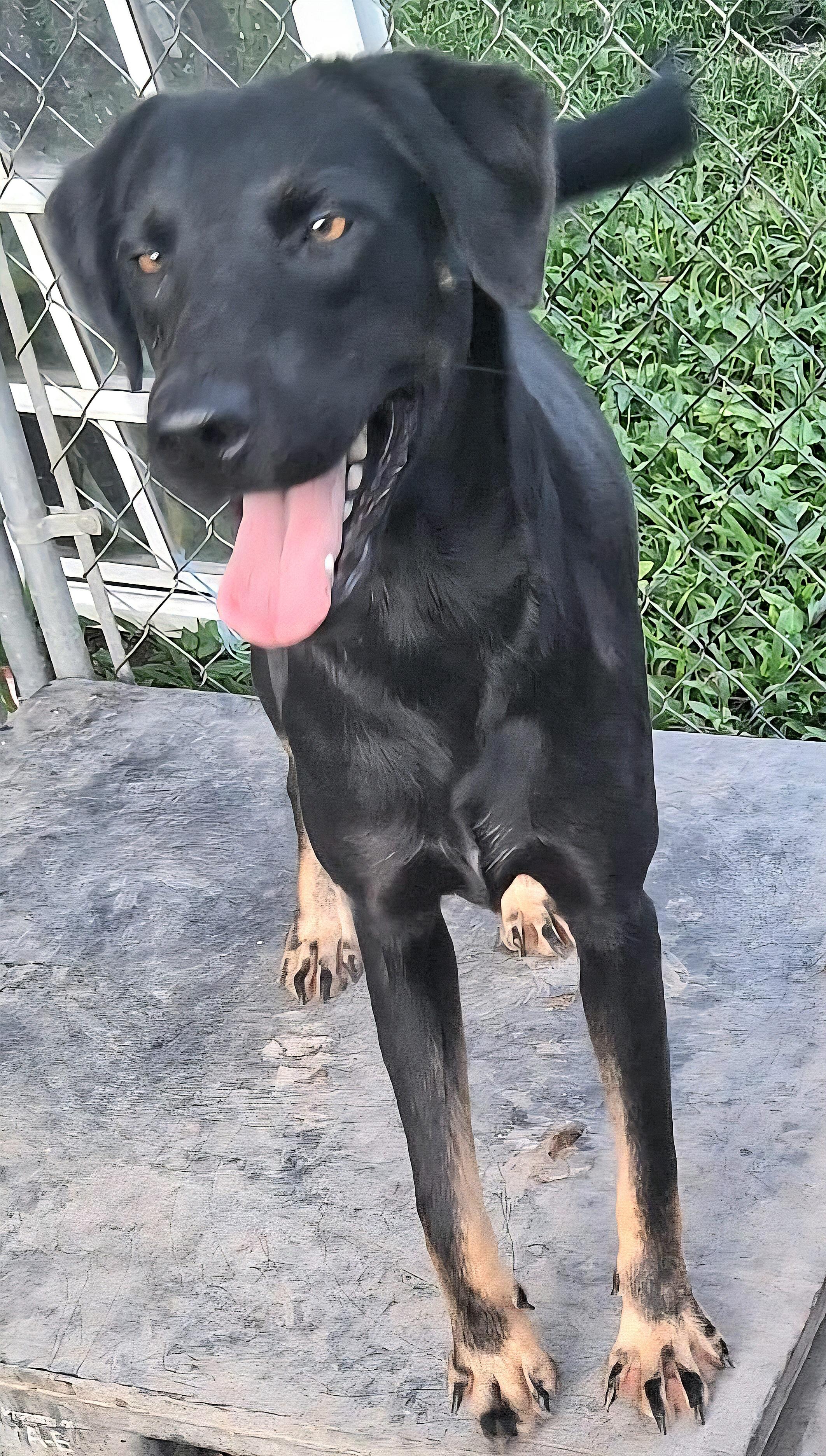 Negrita "will You Love thumbnail 3