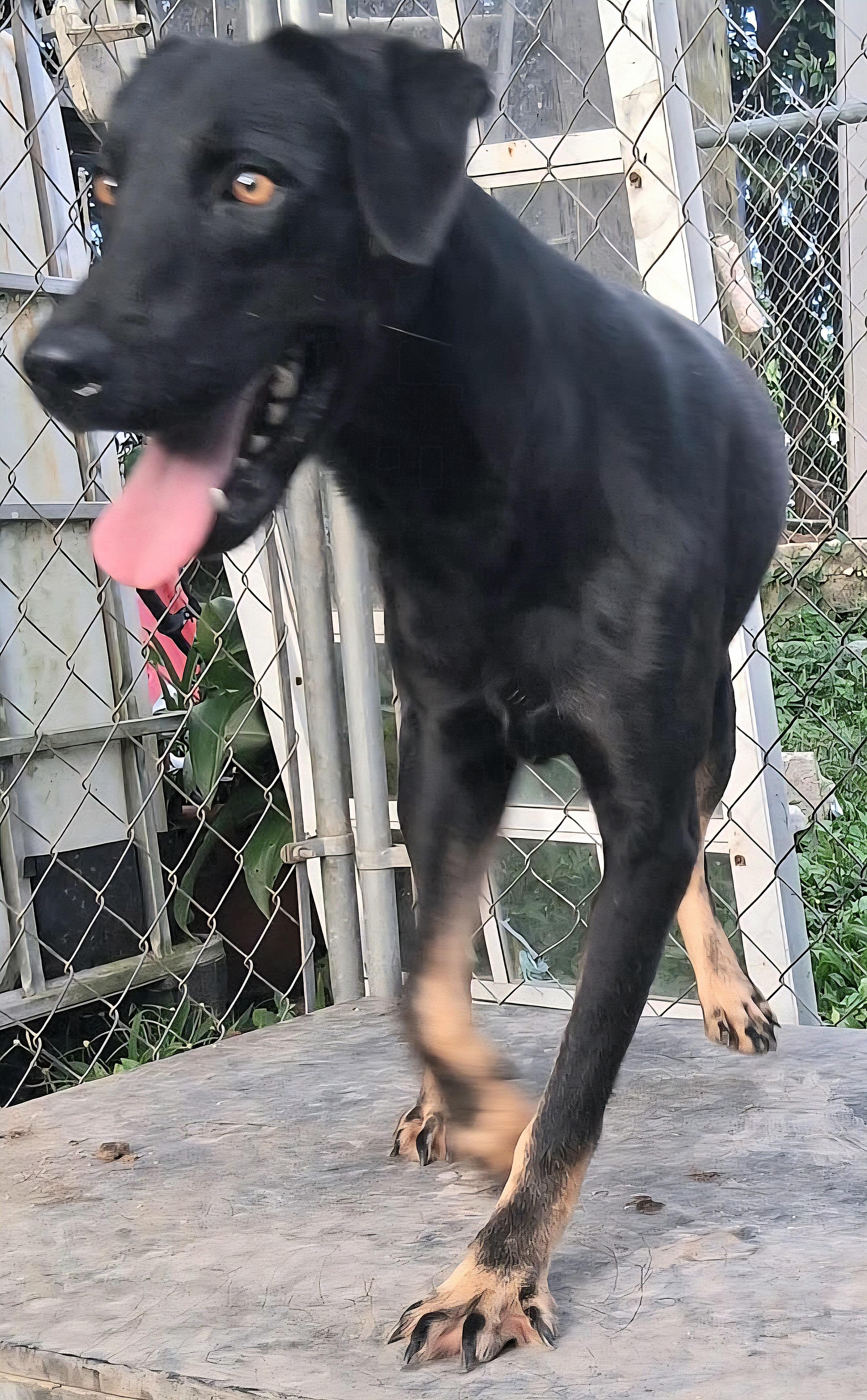 Negrita "will You Love thumbnail 4