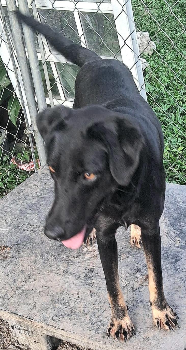 Negrita "will You Love thumbnail 5