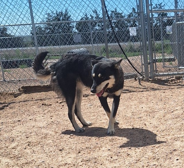 Bella photo 2