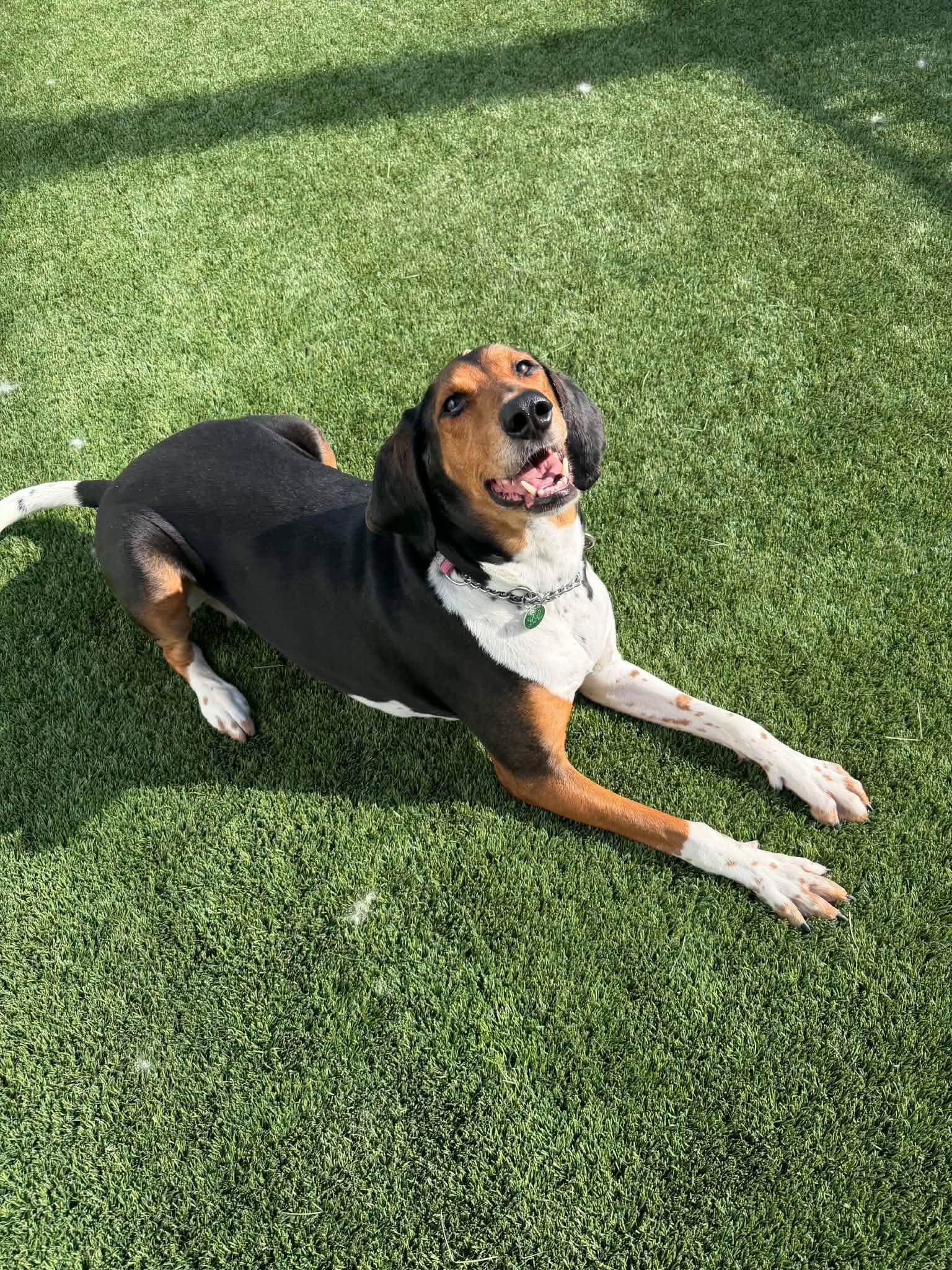 Roxy photo