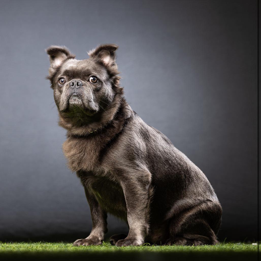 Skye — thumbnail 2