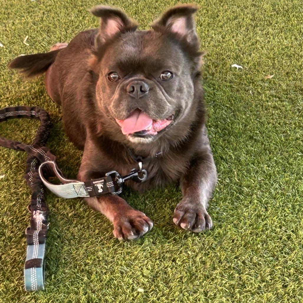 Skye — thumbnail 3