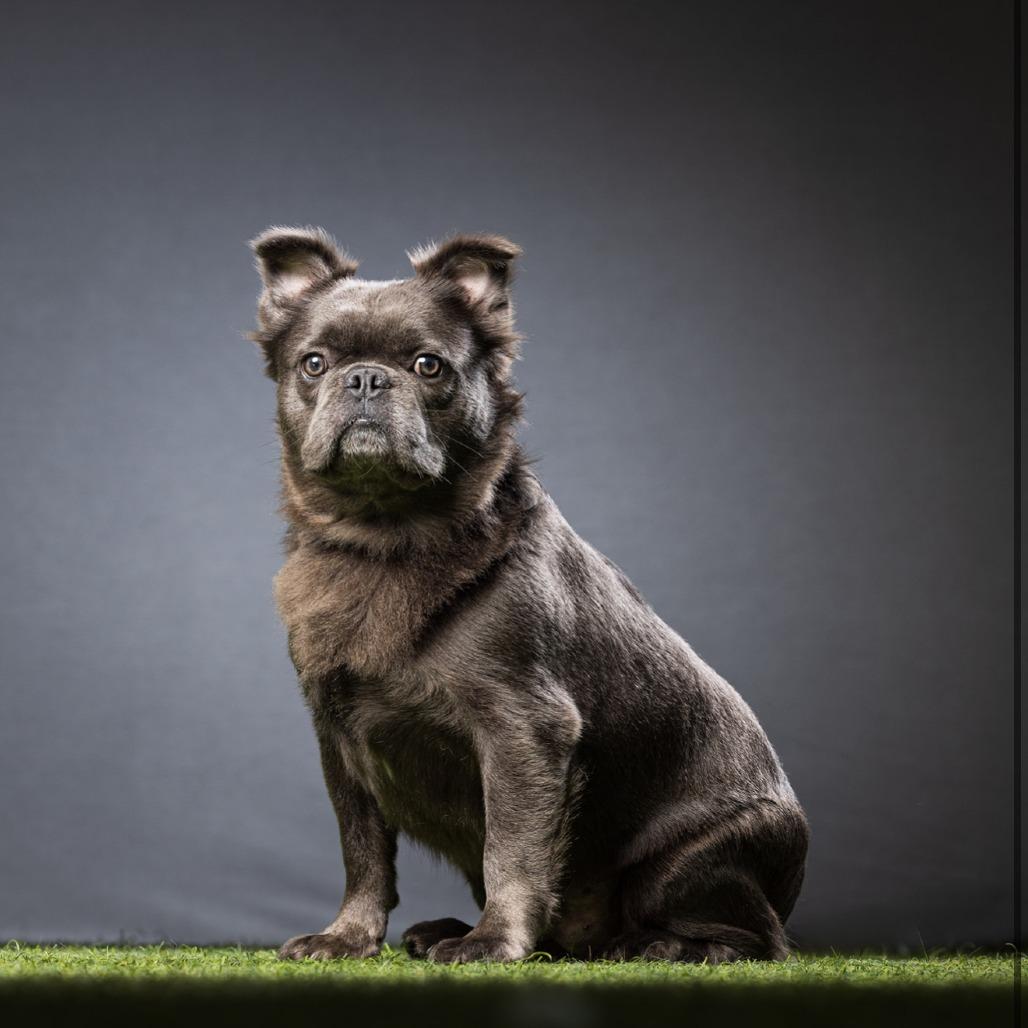 Skye — thumbnail 5