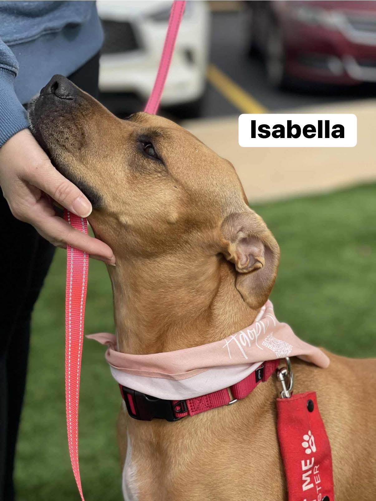 Isabella thumbnail 2