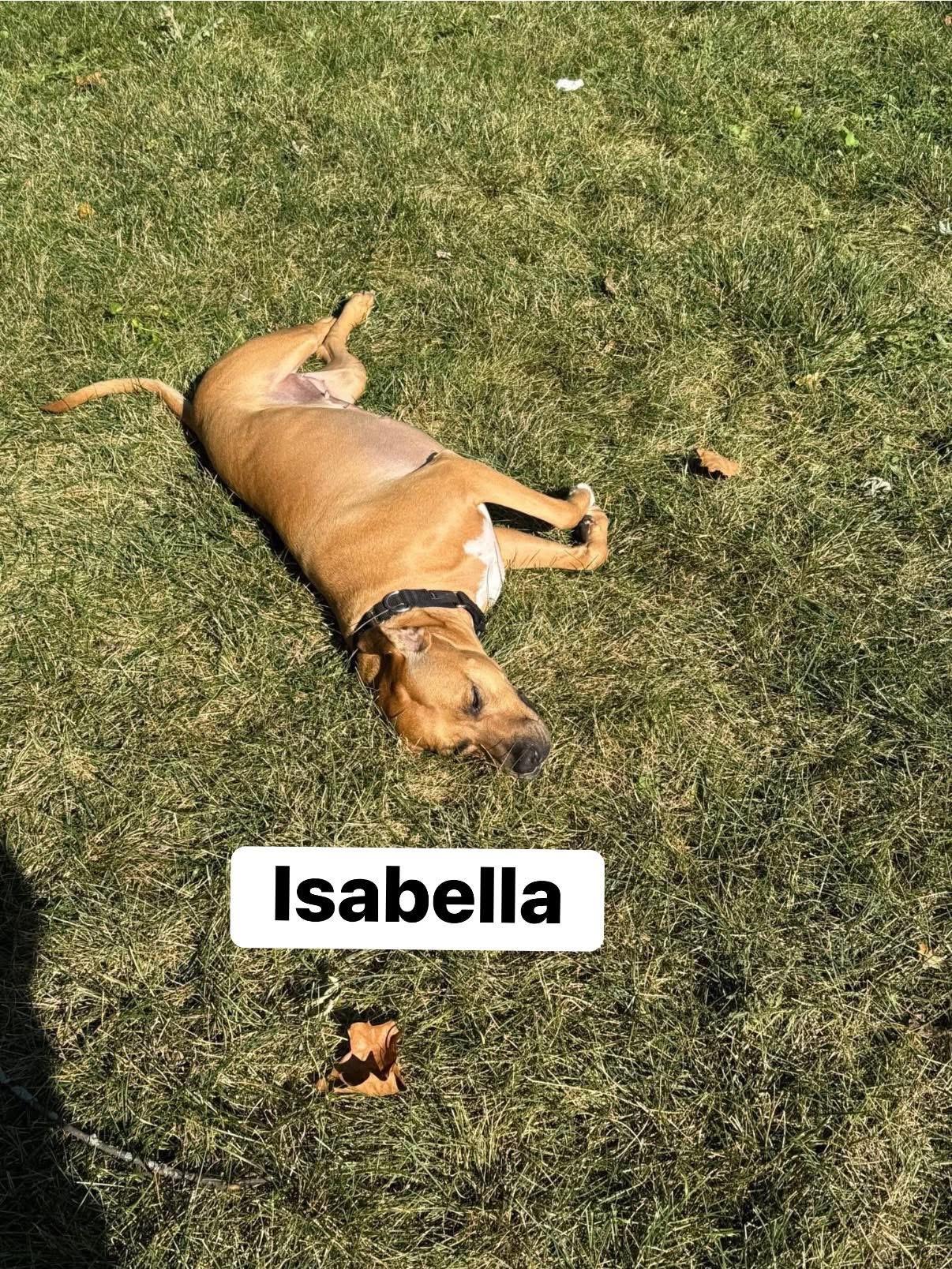 Isabella