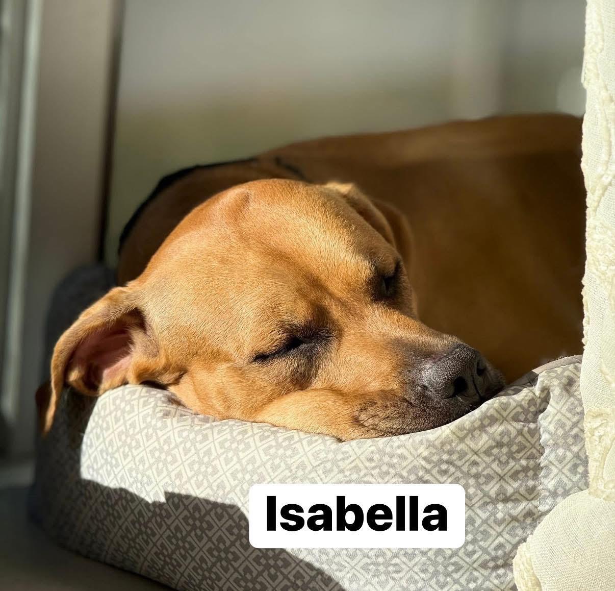 Isabella