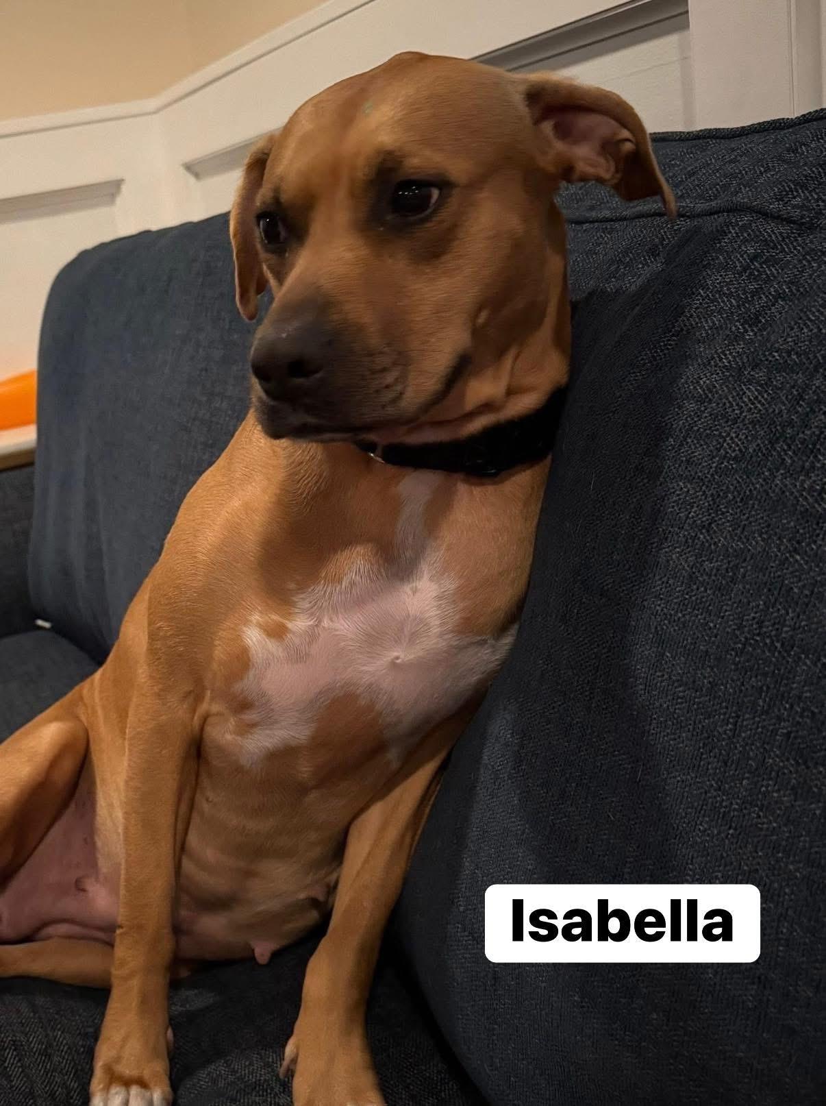 Isabella