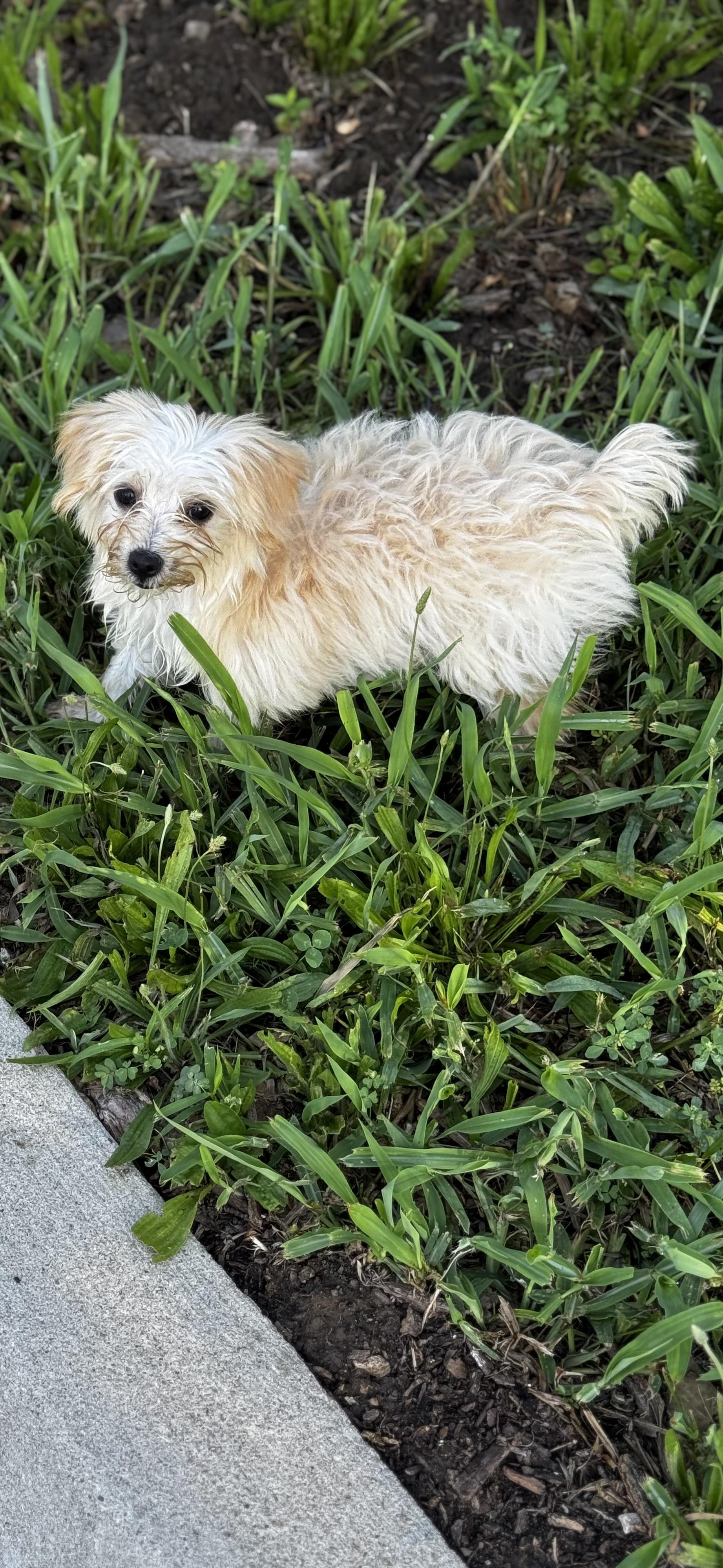 Gigi photo 2