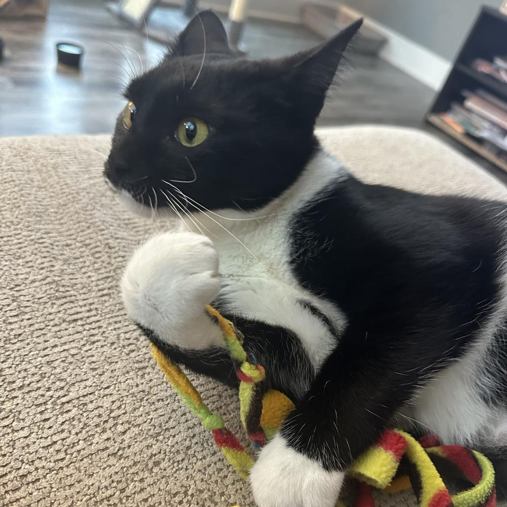 Sydney — thumbnail 2