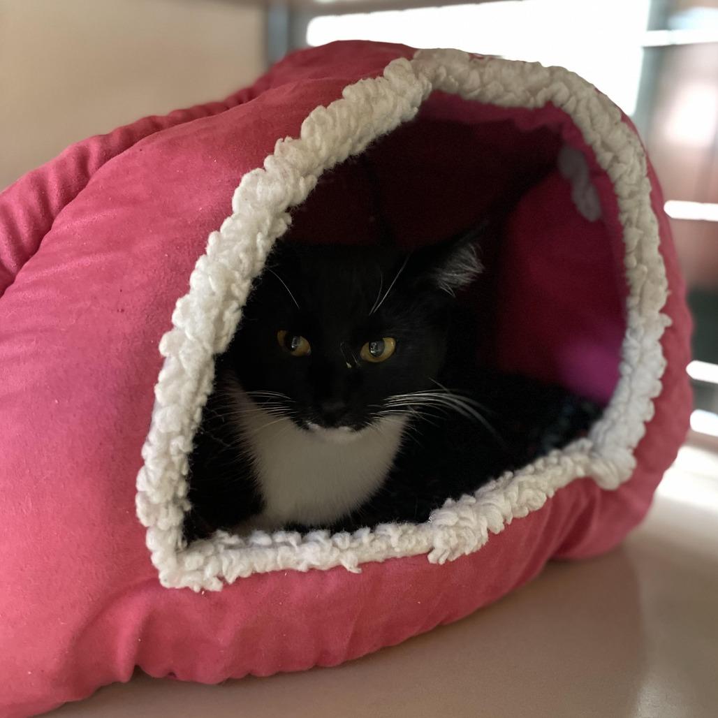 Sydney — thumbnail 3